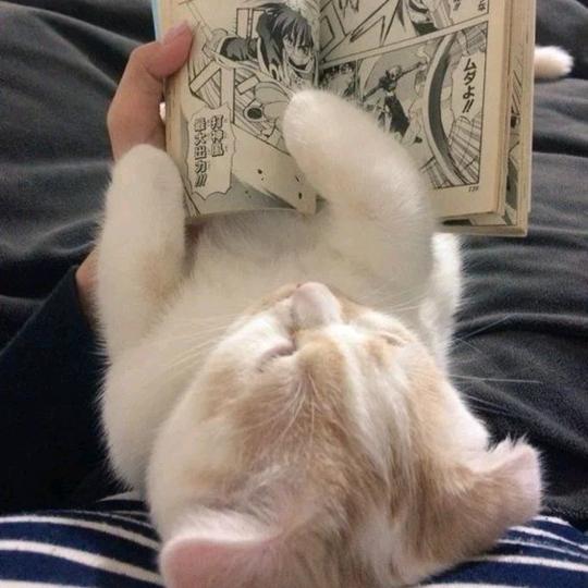 胃里有蝴蝶