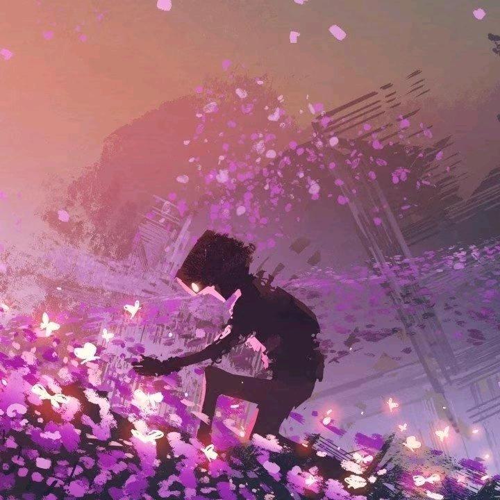 紫罗兰