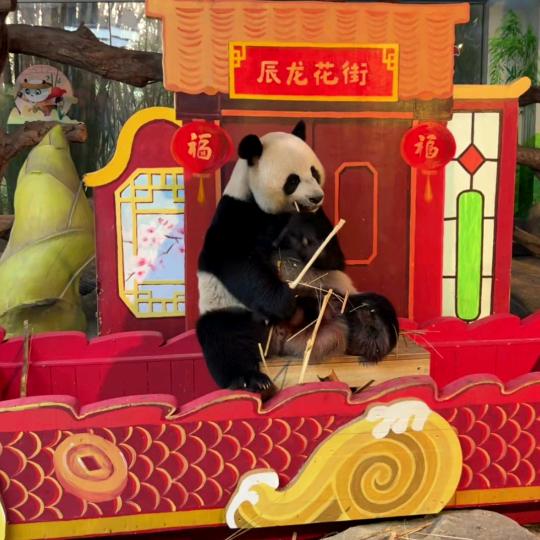 浪漫的西街