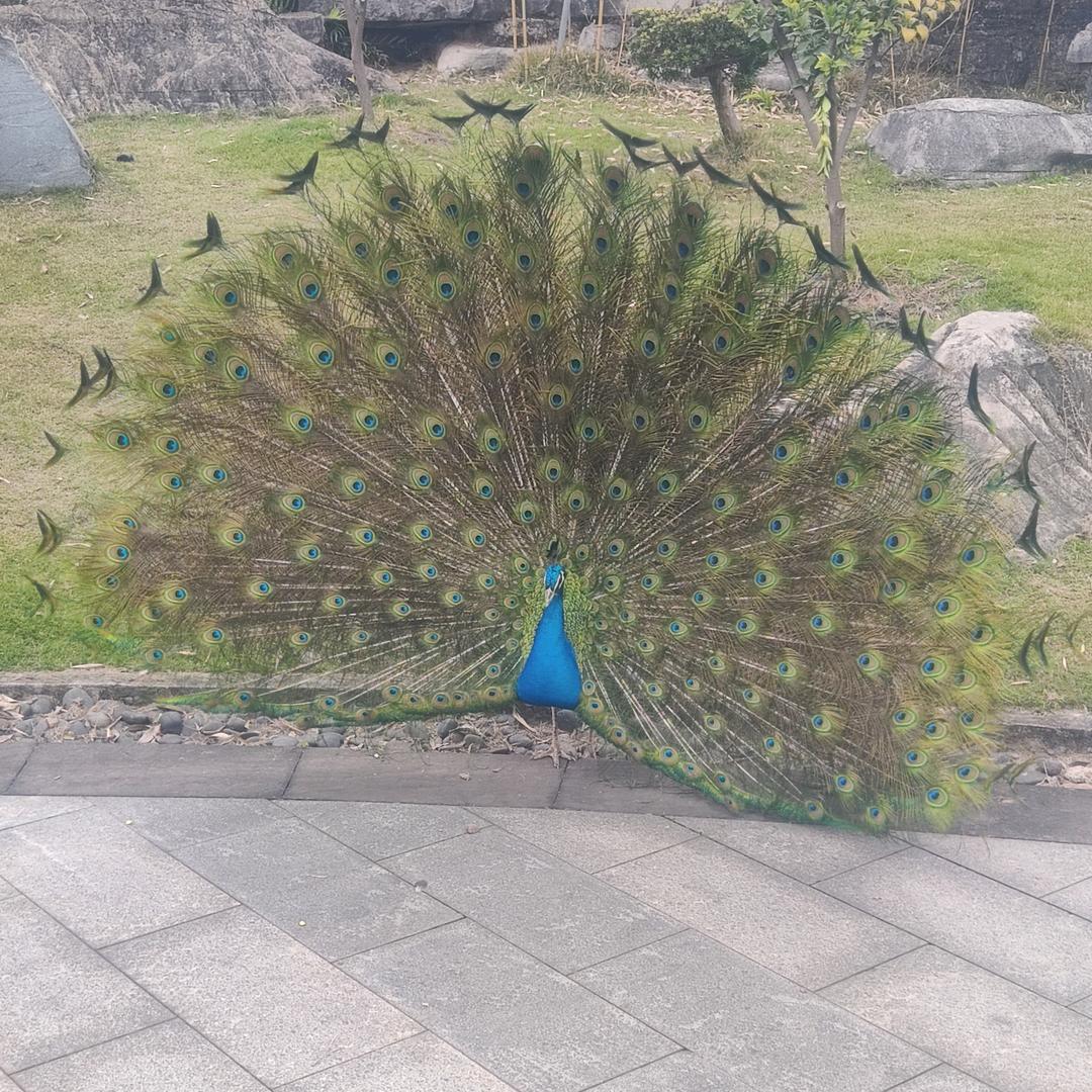 1没想好