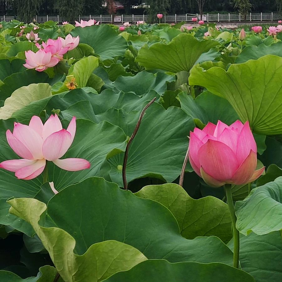 那一抹阳光