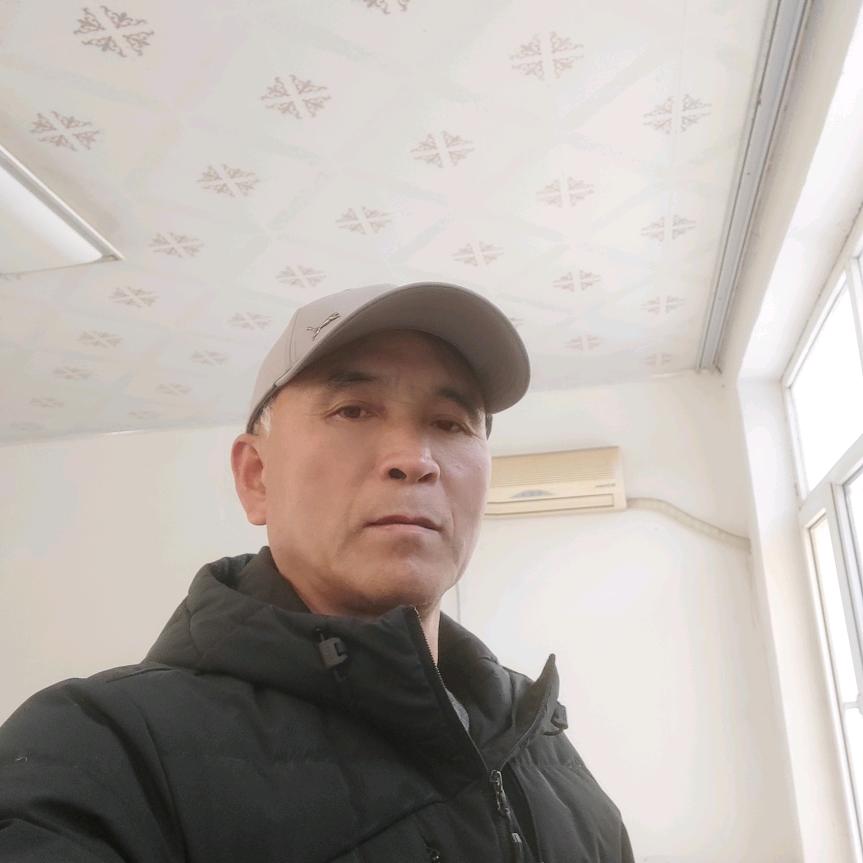 北方老杨