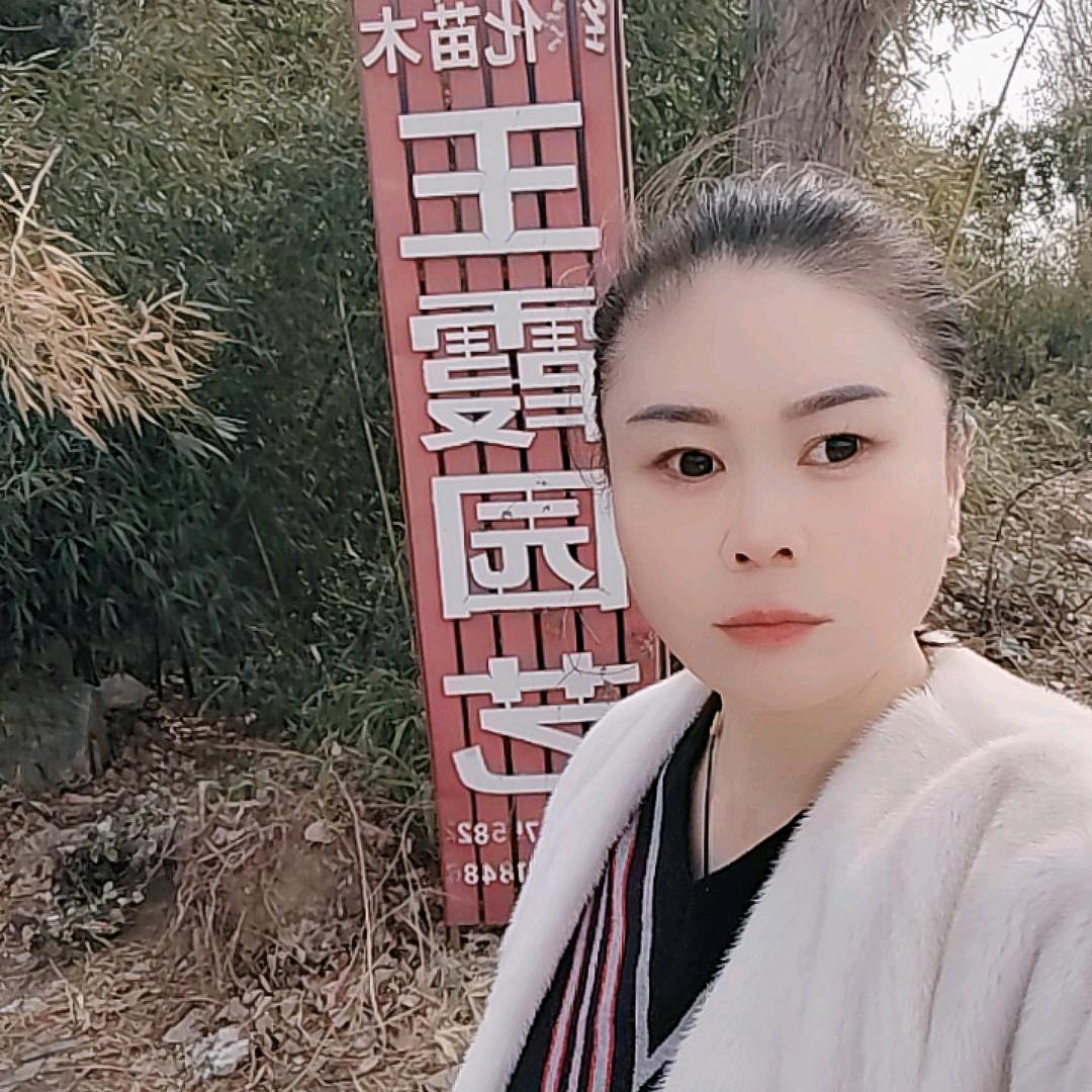 王霞园艺，苗木，绿化