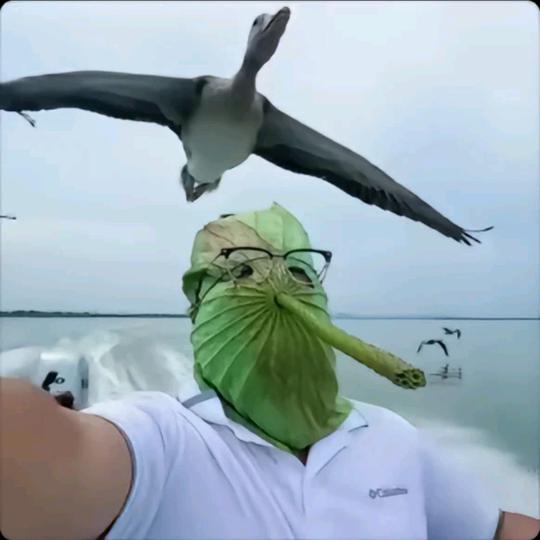 大卫戴