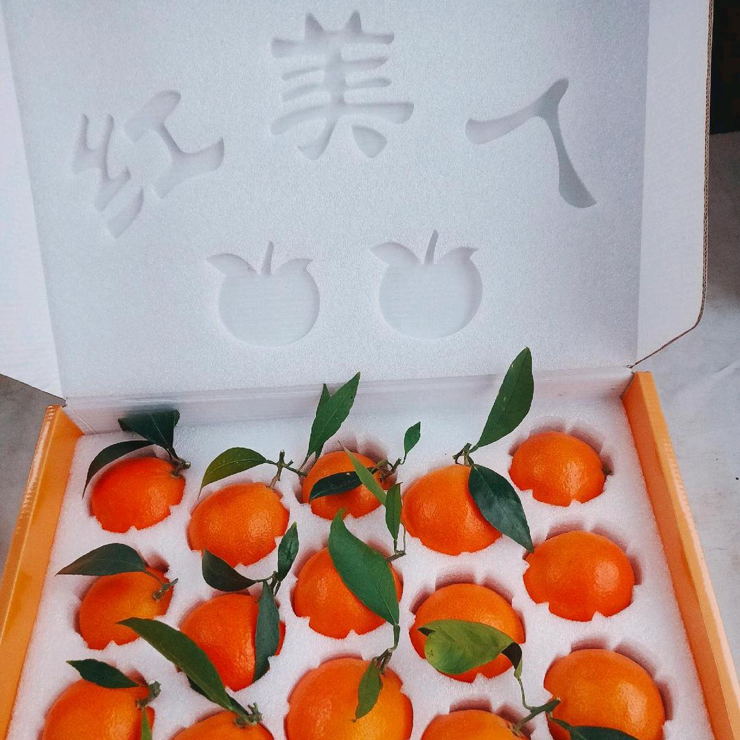 仙居县宏美农场.东槐大杨梅