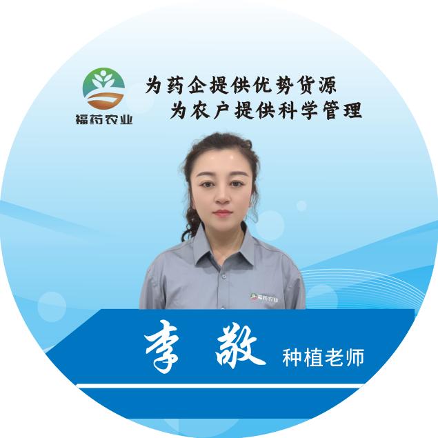 福耀农业种植推广