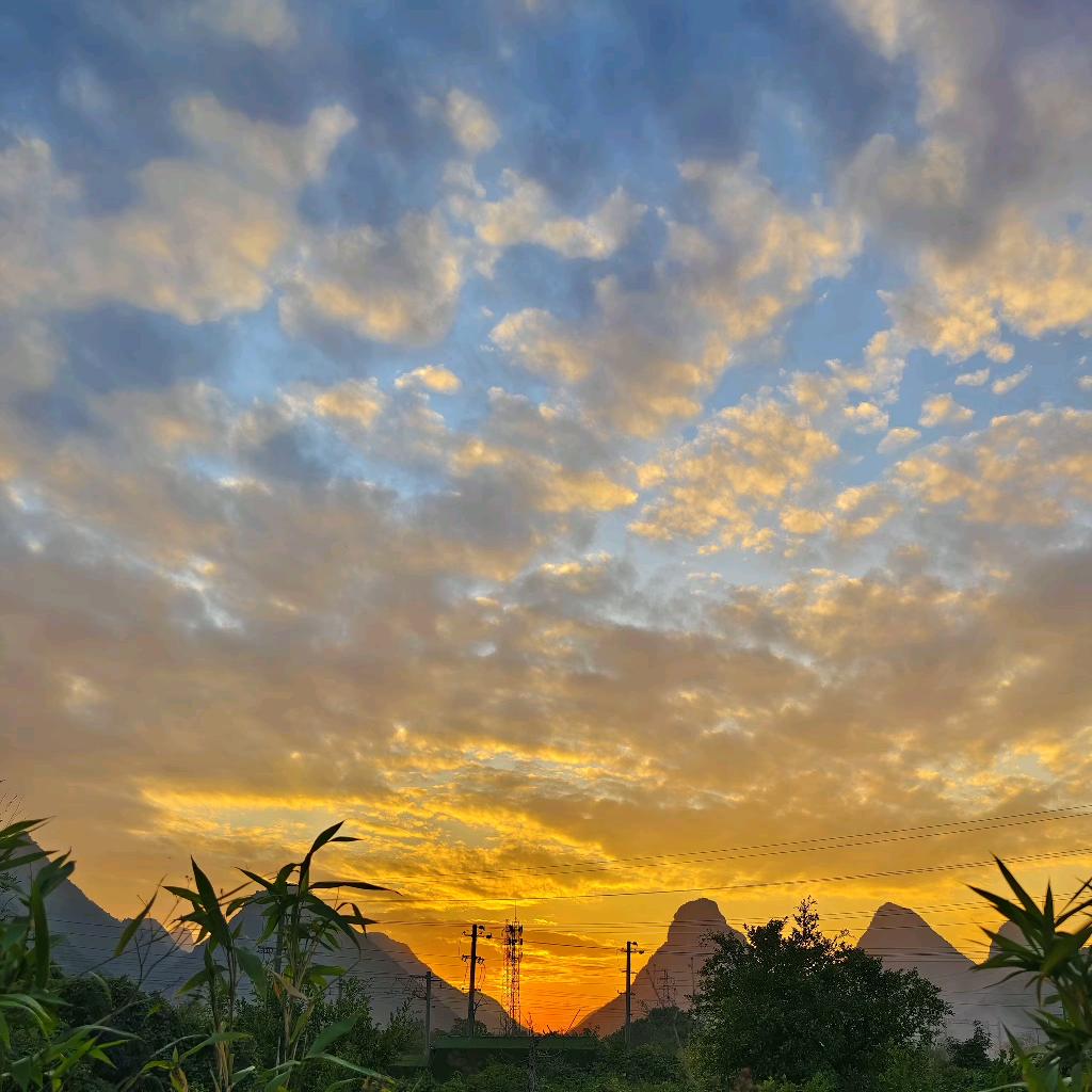 晶色年华