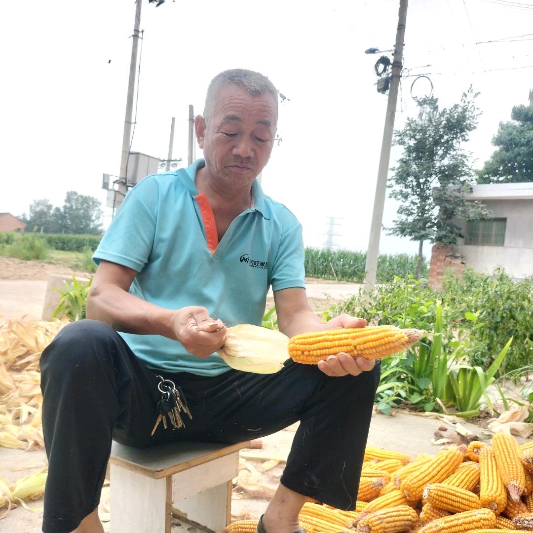 无官一身轻