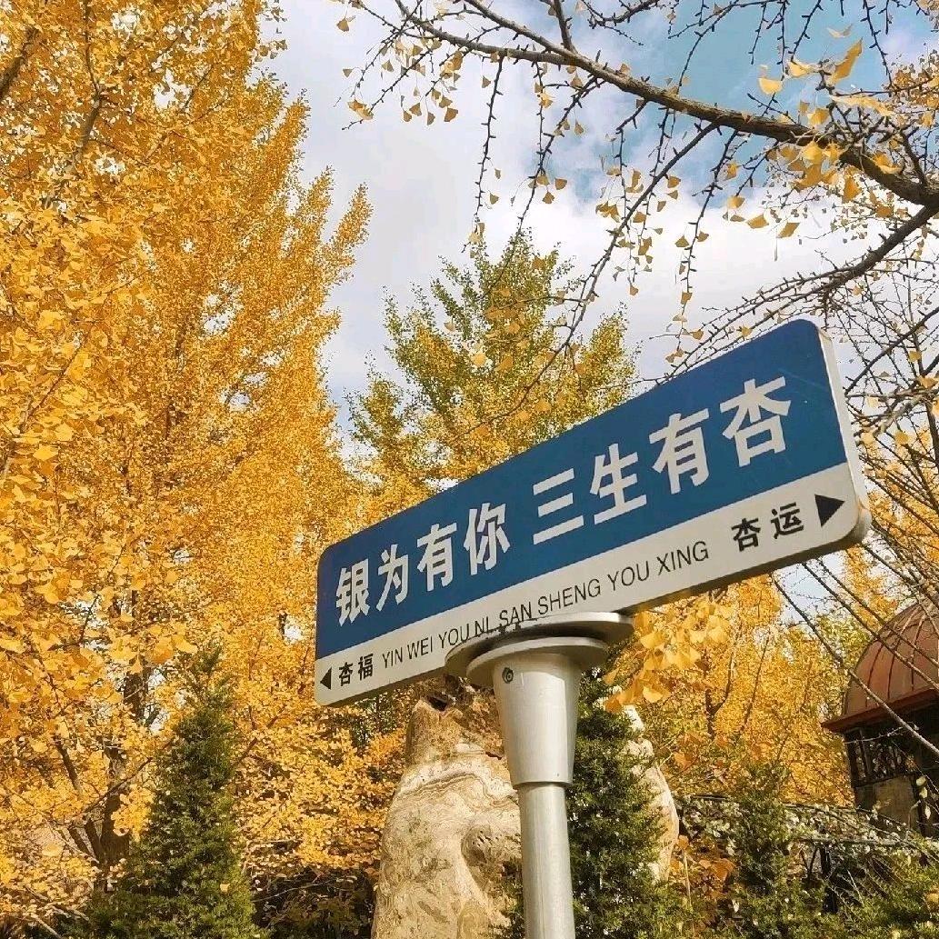 🌹感谢有你🌹
