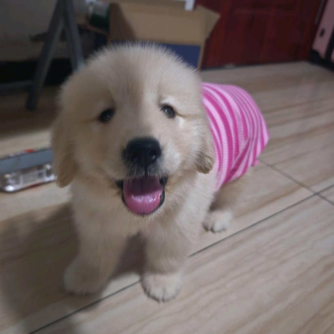 刘百万……