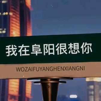 阜阳（李想）