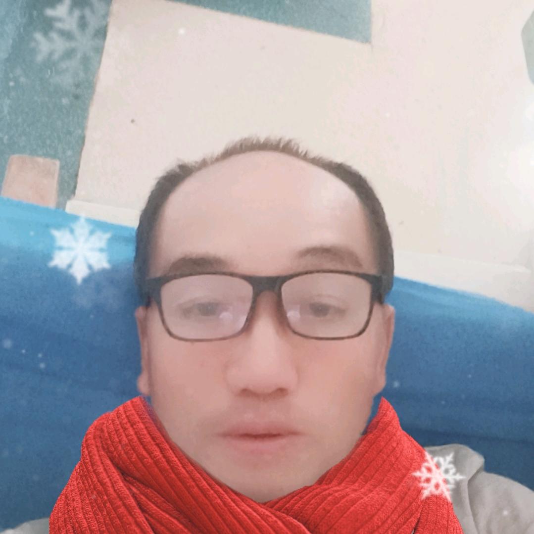 凤凰苗木