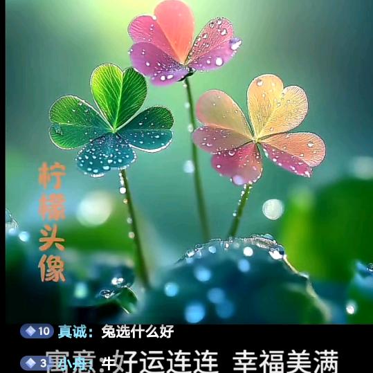 我是“修”花匠