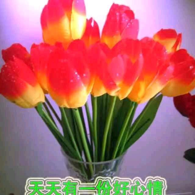 春夏