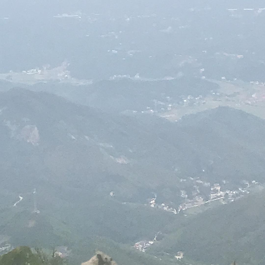 梅子