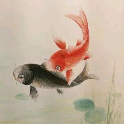 闪烁的星
