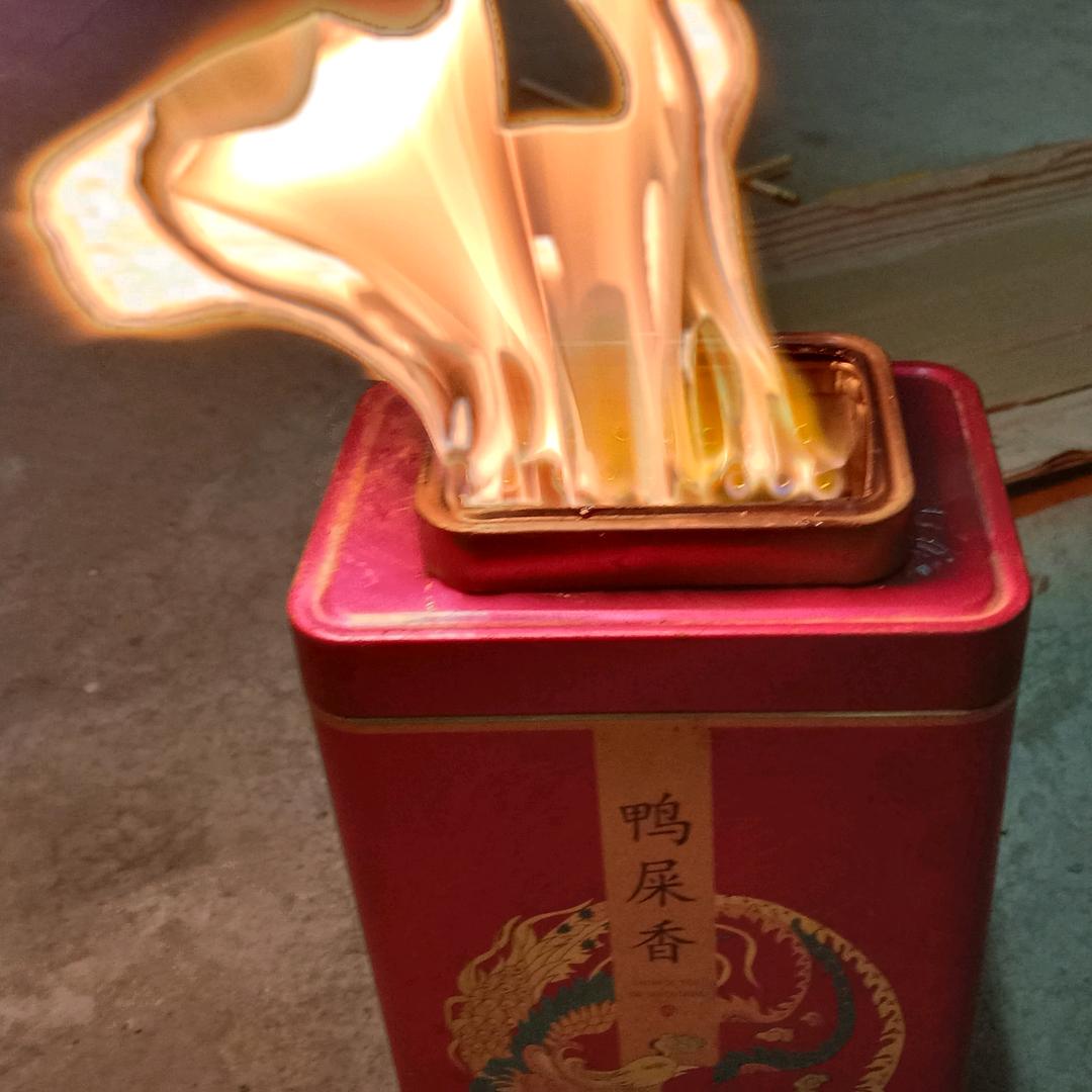 夜郎飞鹰