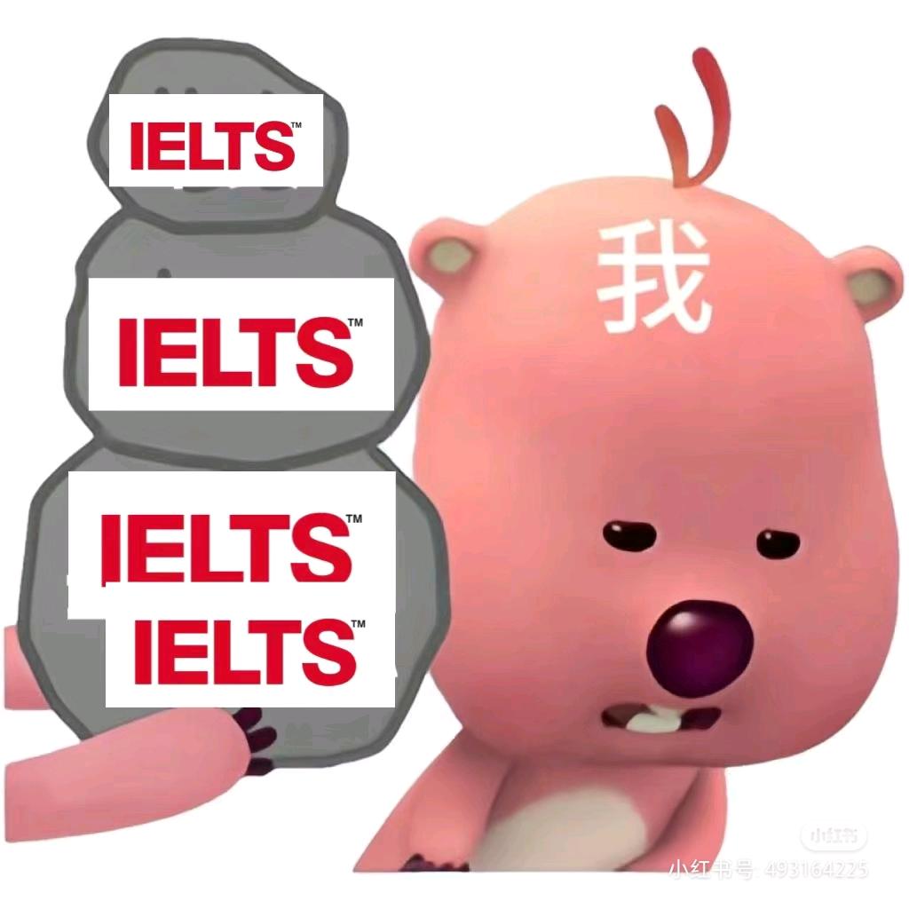 雅思我和你拼了