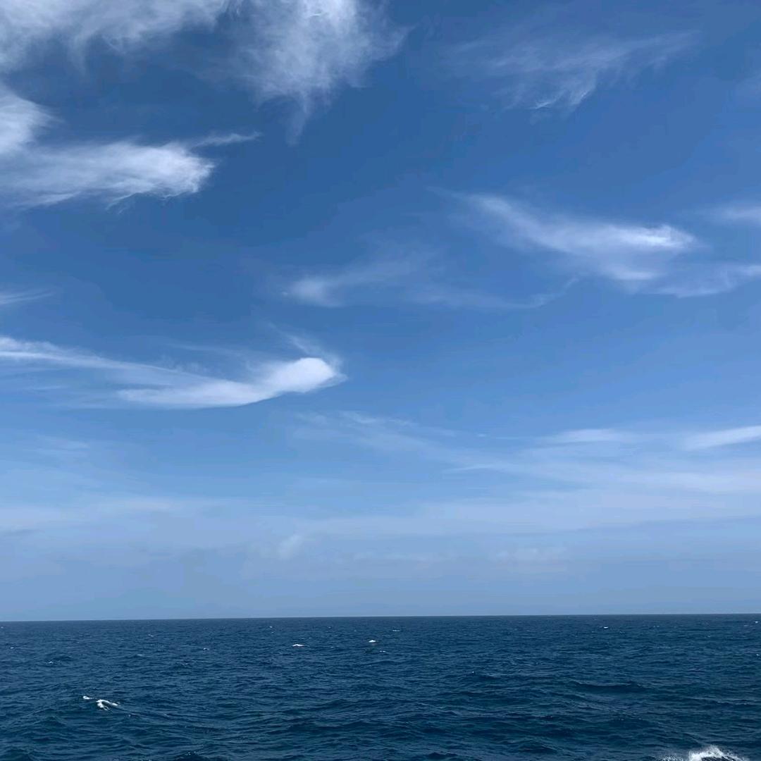满眼星陈