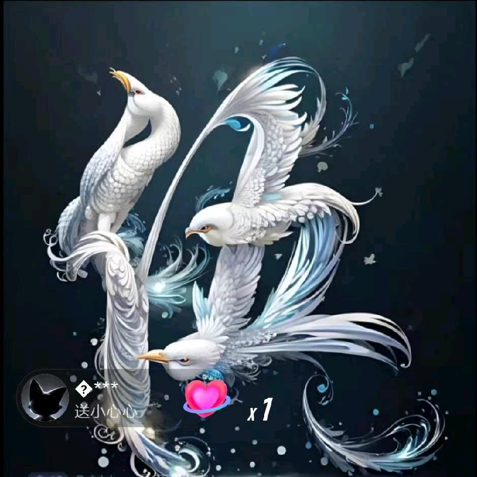 燕子🌹农村阿姨🌹（70后）🐍
