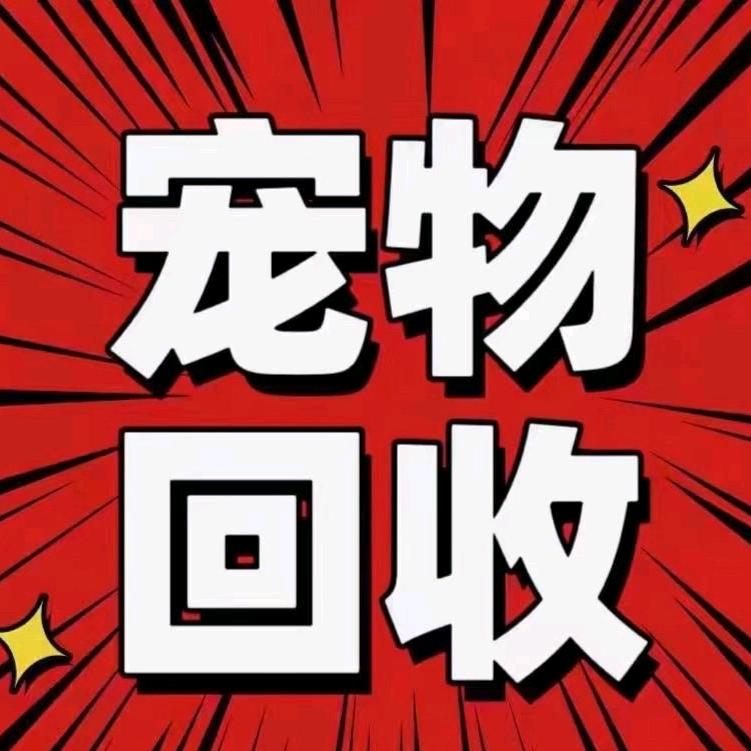猫狗回收乐园