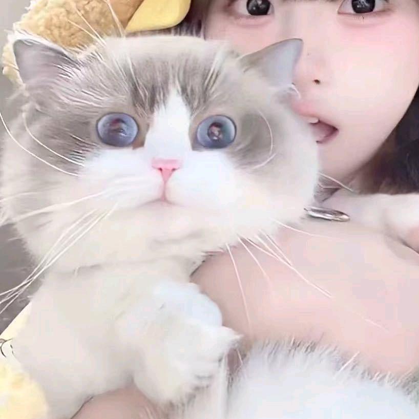 只有你啊