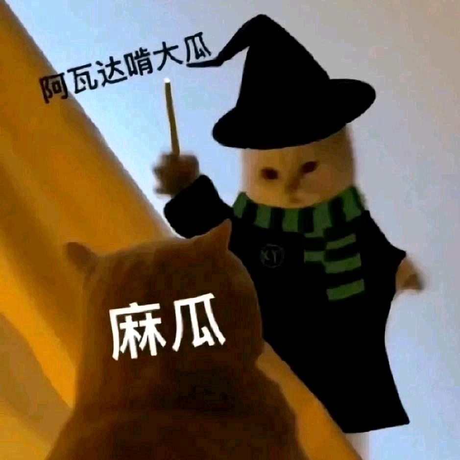 _1xxc_🪄