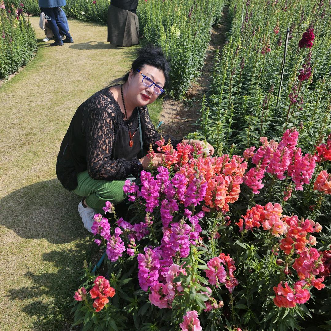 🌸花🌸姐🌸