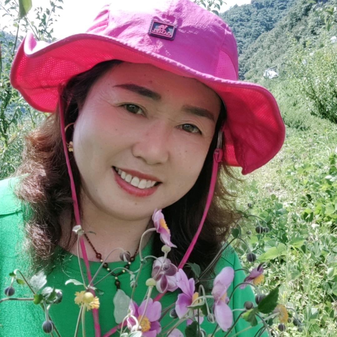 何琼