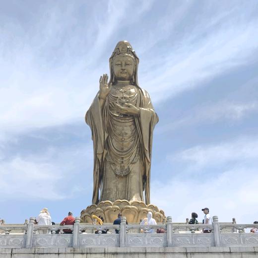 凌寒独自开