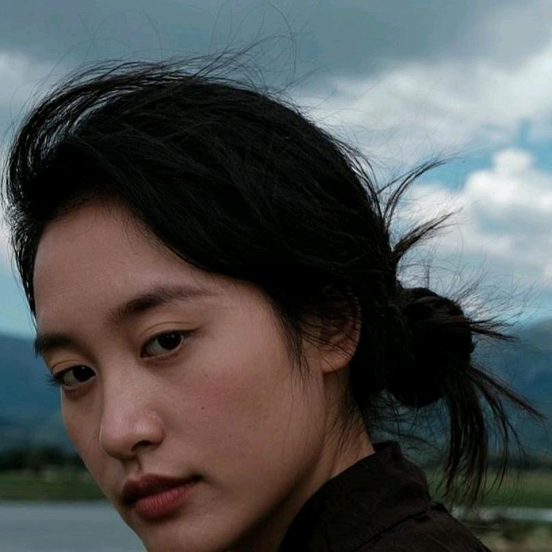 迷雾森林