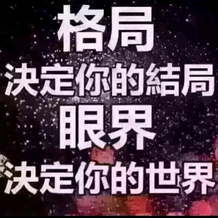 金日视点