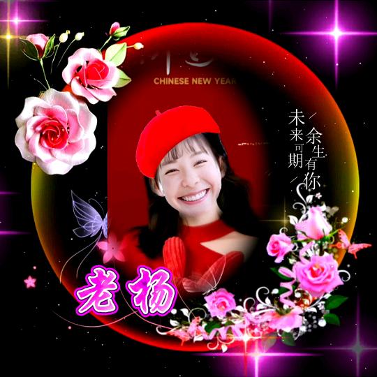老杨@