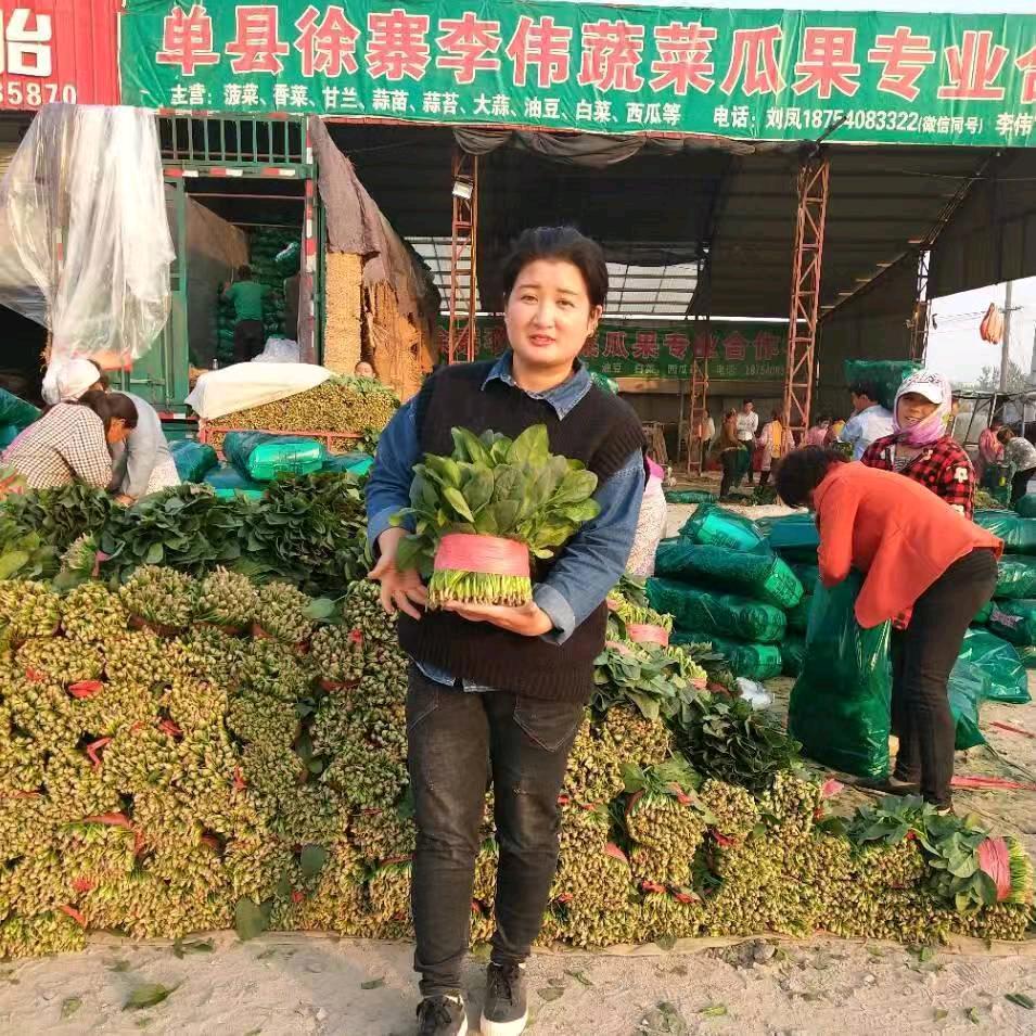 山东单县蔬菜姐刘凤