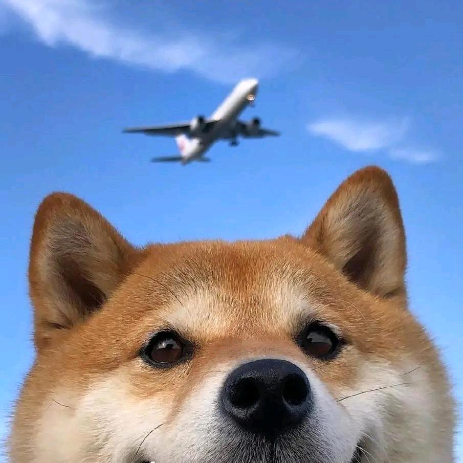 Tz_