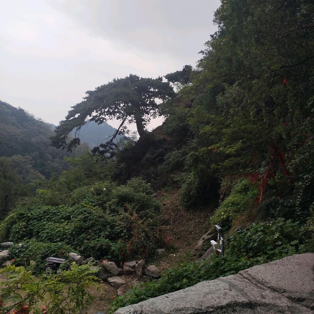 小彩爱分享