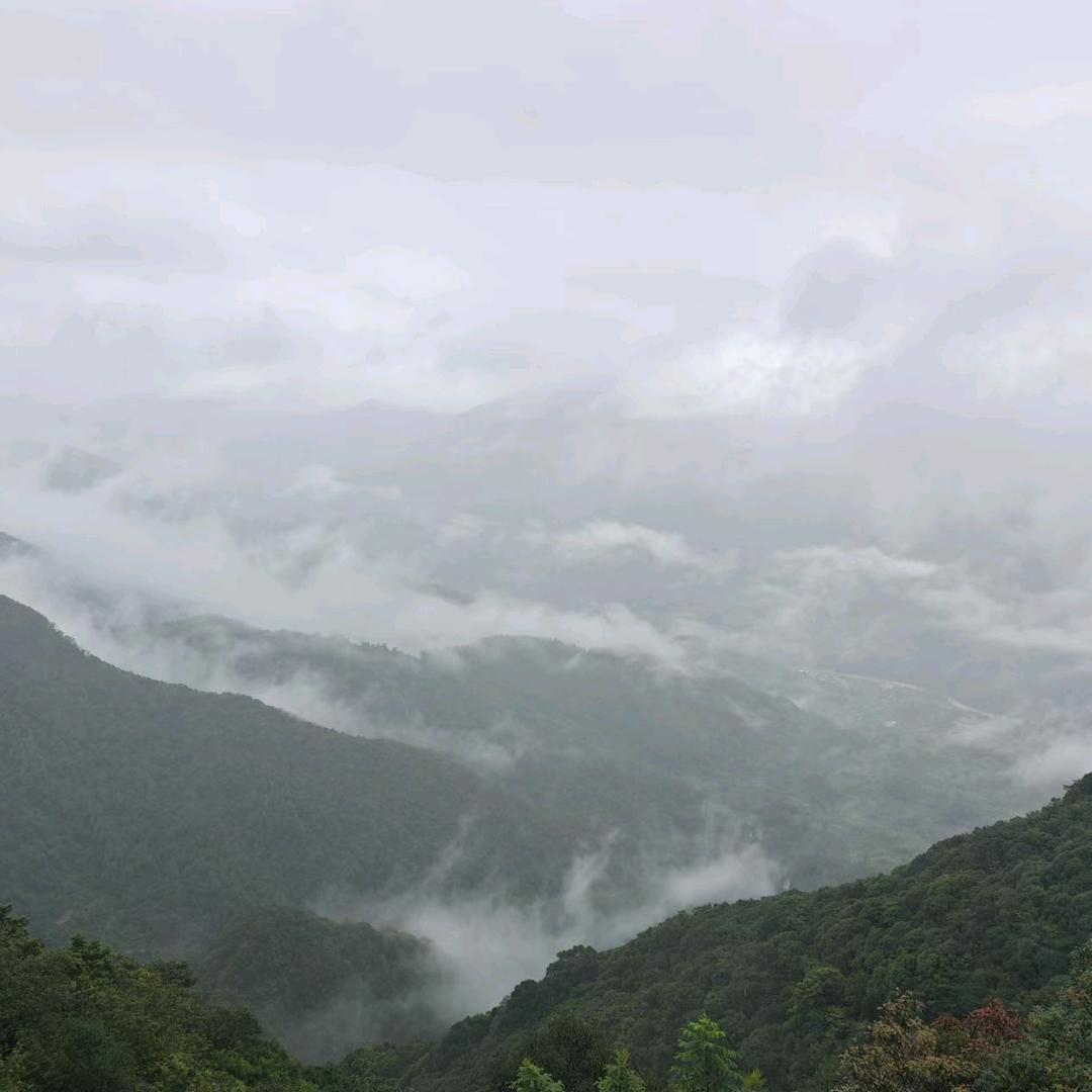 锐城晓爱