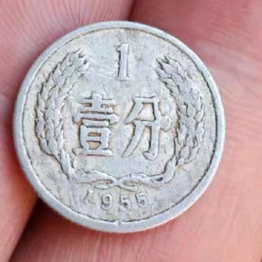 金哥钱币