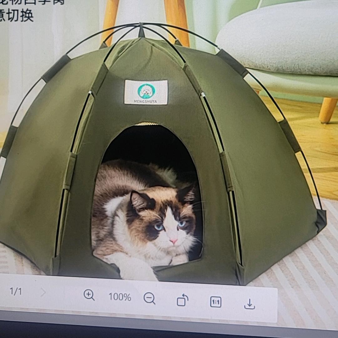 梦舒雅徐州市亚格宠物用品有限公司宠物专卖店