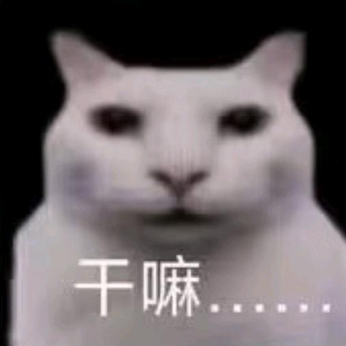 腐爛的你會聽見嗎