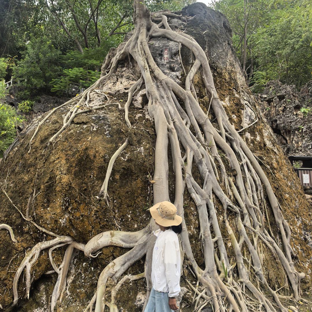 空谷幽兰@