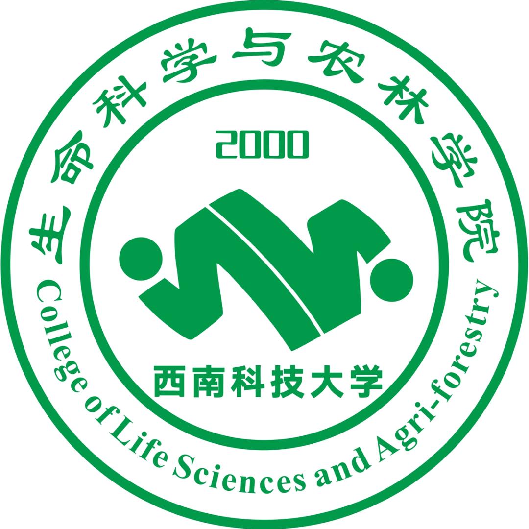 生命加油站