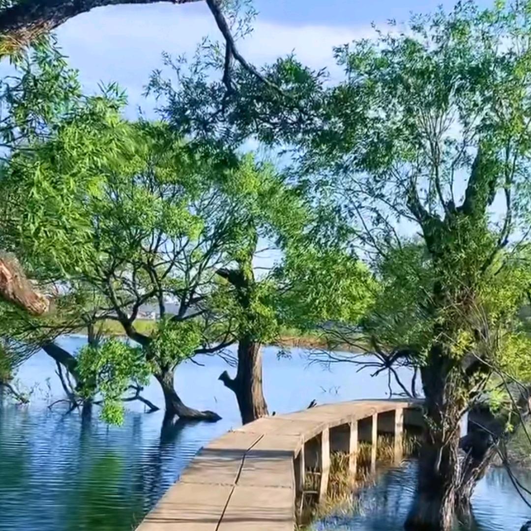垚垚