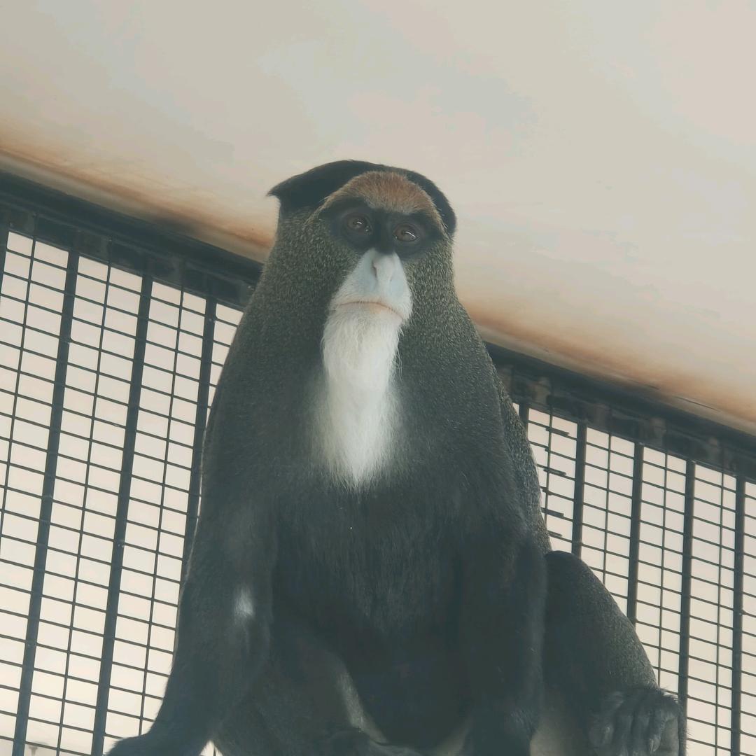 吴先生