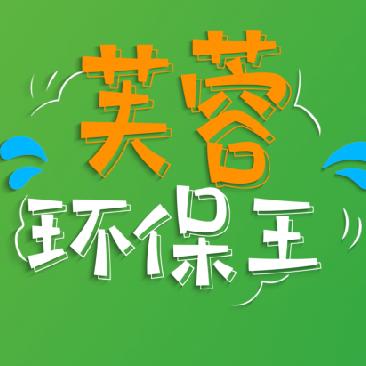 芙蓉环保王