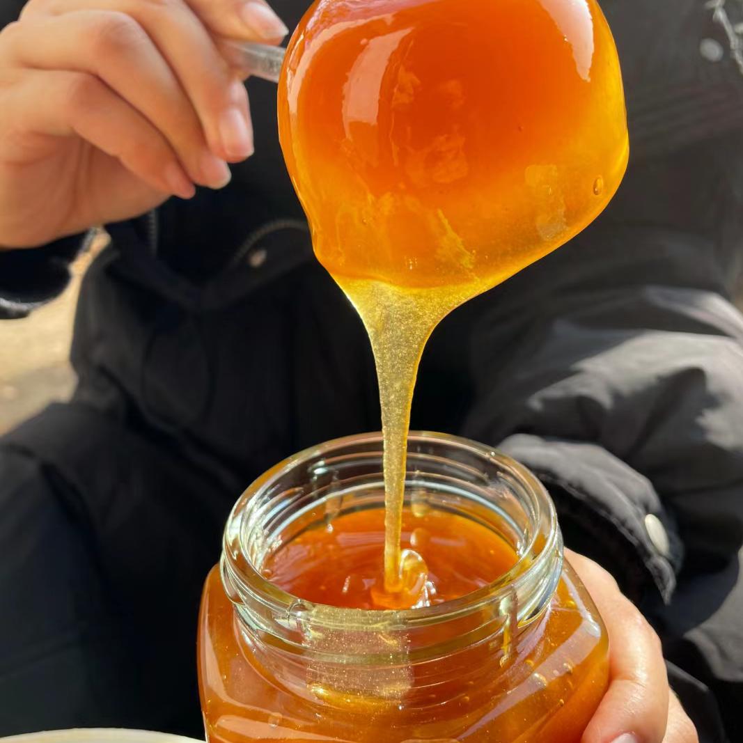 奋斗的小鸟