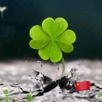 🍀竹林听雨