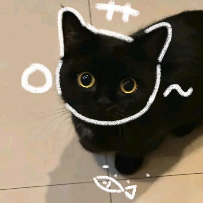 追剧喵