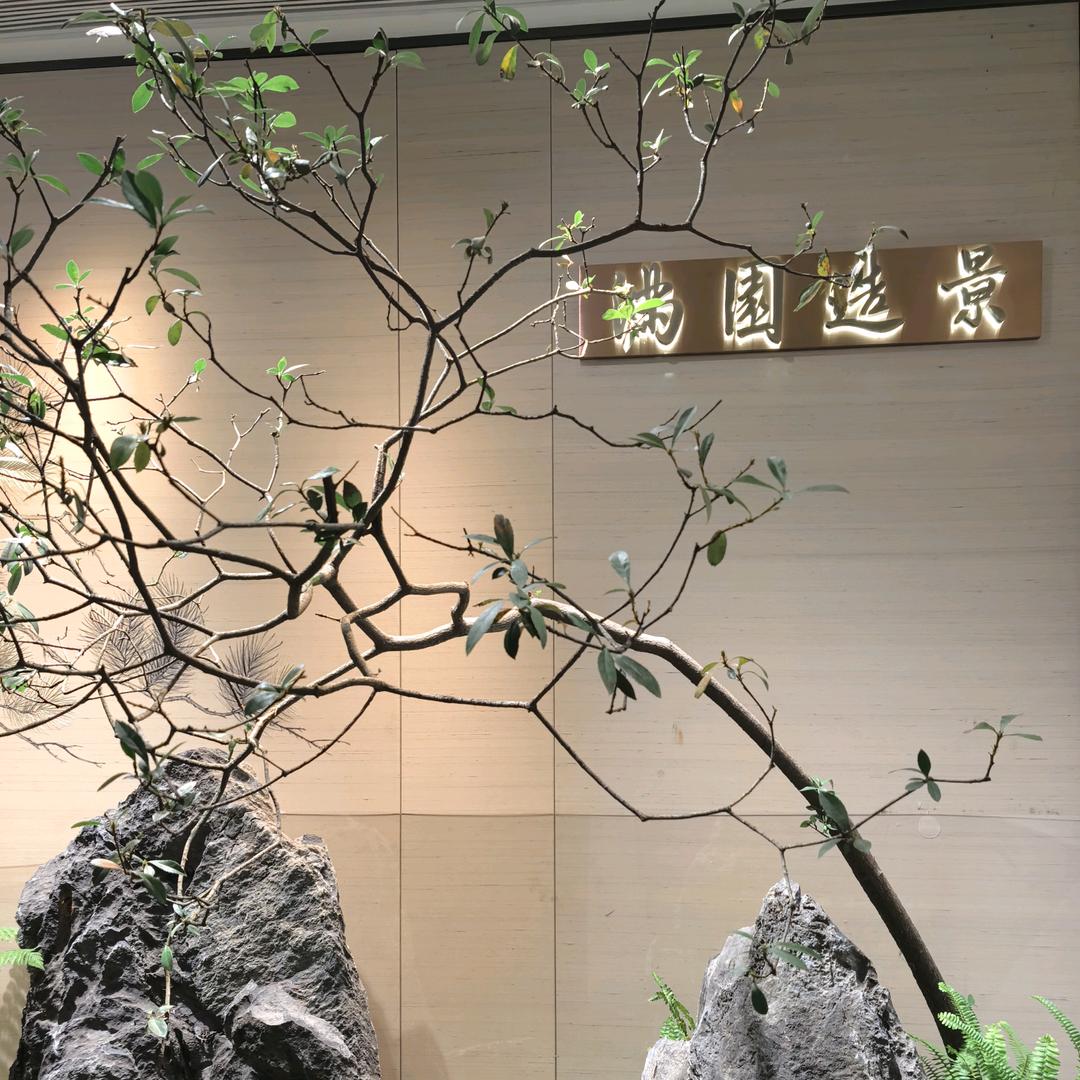 满园造景