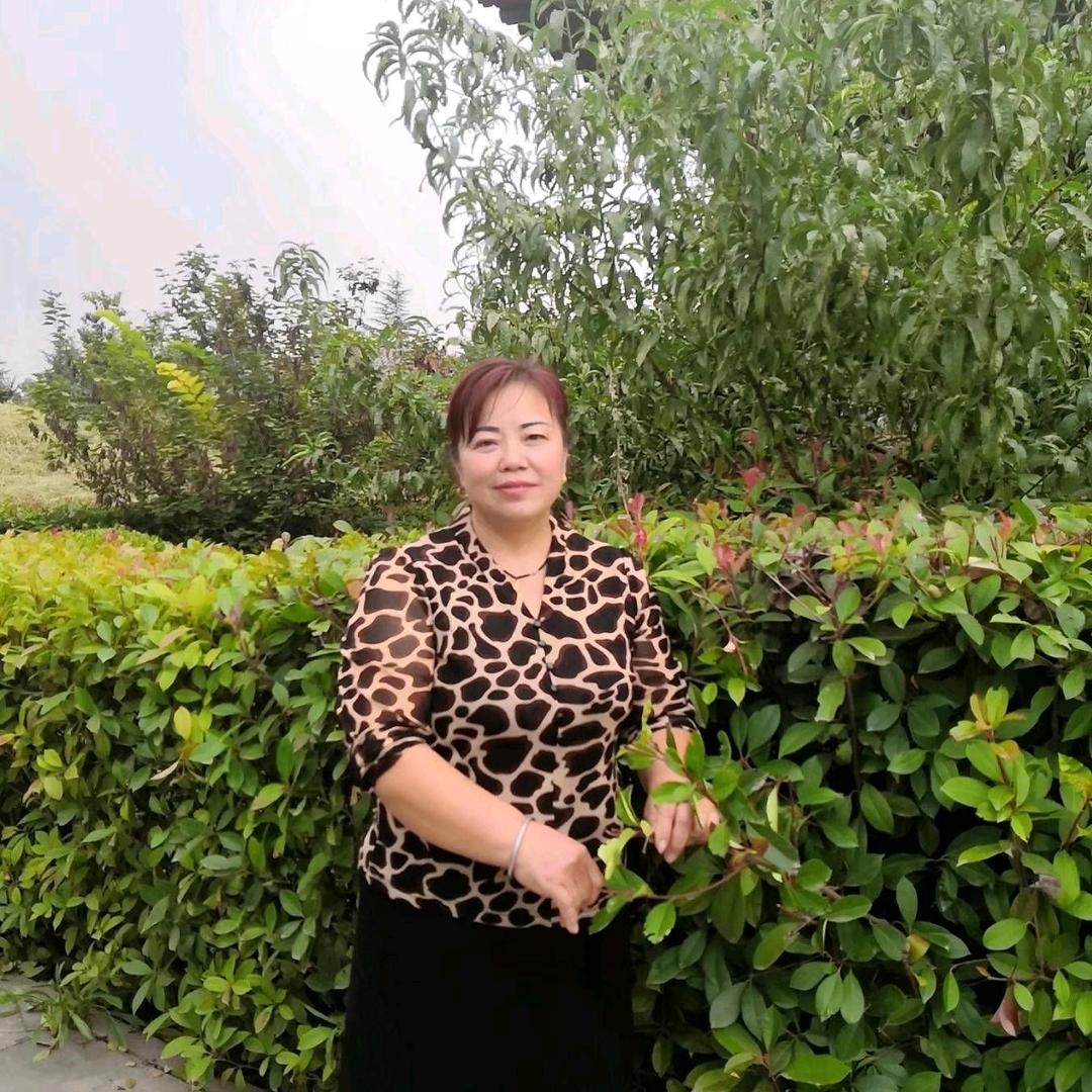 风清云淡